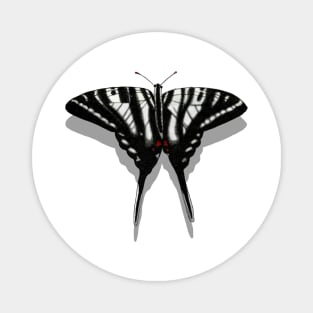 Zebra Swallowtail Butterfly with Shadow Magnet